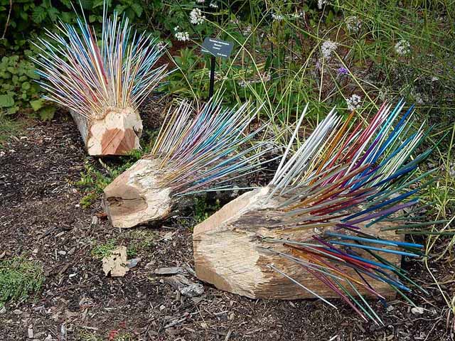 New World Porcupines